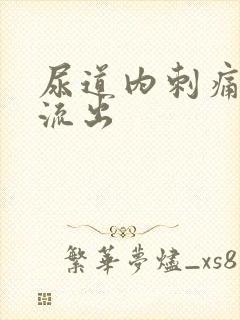 尿道内刺痛有脓流出