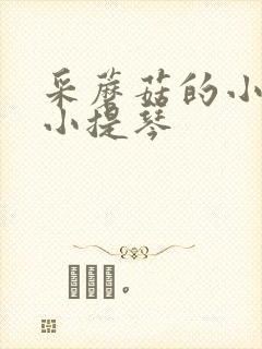 采蘑菇的小姑娘小提琴