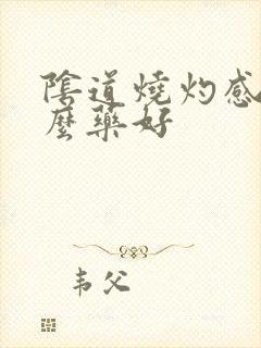 阴道烧灼感用什么药好