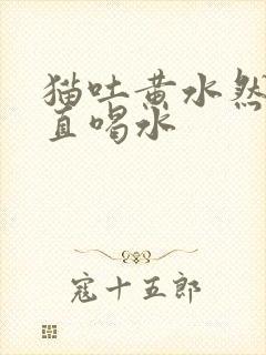 猫吐黄水然后一直喝水