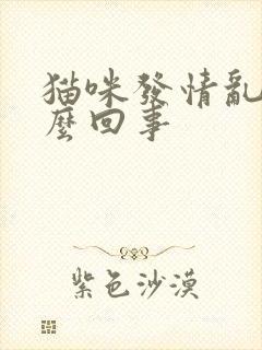 猫咪发情乱尿怎么回事