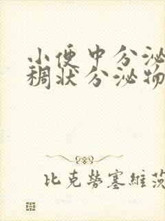 小便中分泌有粘稠状分泌物怎么回事