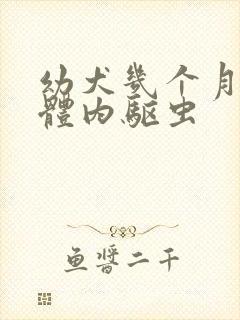 幼犬几个月可以体内驱虫