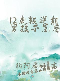 12岁叛逆期的男孩子怎么管