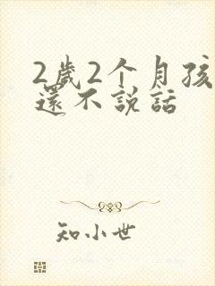 2岁2个月孩子还不说话