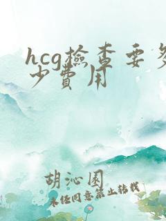 hcg检查要多少费用