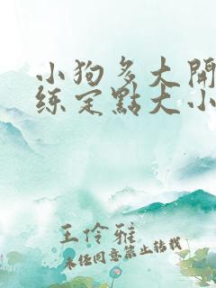 小狗多大开始训练定点大小便