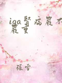 iga肾病严不严重