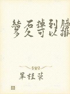 结石掉到膀胱里多久可以排出