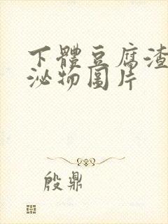 下体豆腐渣状分泌物图片