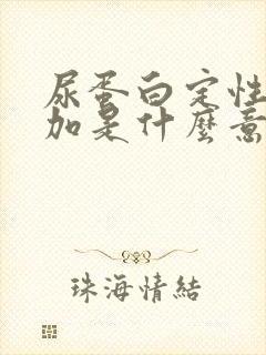 尿蛋白定性2个加是什么意的