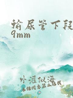 输尿管下段结石9mm