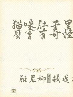 猫咪肚子里为什么会有奇怪的响声