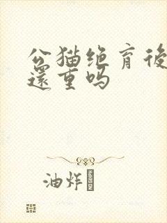 公猫绝育后尿味还重吗