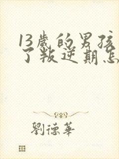 13岁的男孩到了叛逆期怎麽教