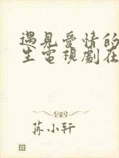 遇见爱情的利先生电视剧在线播放