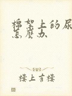 棉絮上的尿骚味怎么办