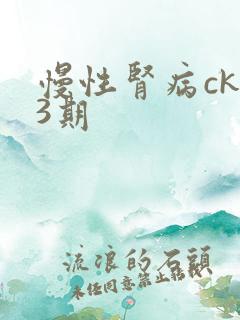 慢性肾病ckd3期
