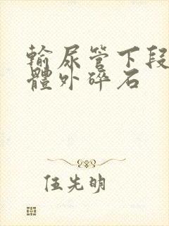 输尿管下段结石体外碎石