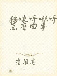 猫咪呼哧呼哧的怎么回事