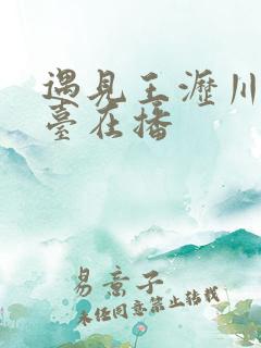 遇见王沥川哪个台在播