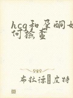 hcg和孕酮如何检查