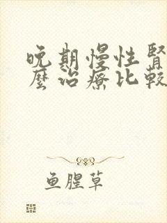 晚期慢性肾衰怎么治疗比较好啊