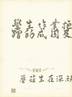 学生作业拖拉磨蹭的成因及对策