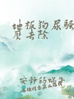 地板狗尿骚味怎么去除