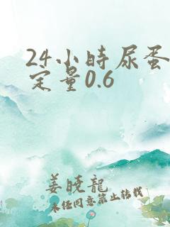 24小时尿蛋白定量0.6