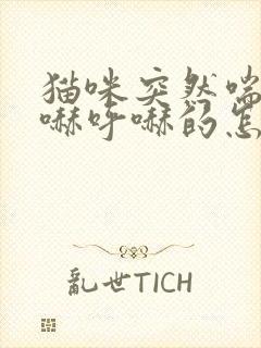 猫咪突然喘气呼哧呼哧的怎么在家急救