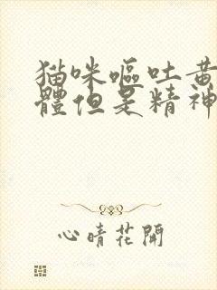 猫咪呕吐黄色液体但是精神很好