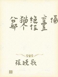 公猫绝育伤口在哪个位置