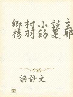 乡村小说主角叫杨羽的是那部小说