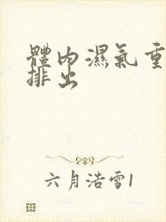 体内湿气重如何排出