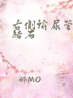 右侧输尿管下段结石