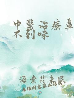 中医治疗鼻子闻不到味