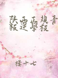 陕西正规青少年叛逆学校