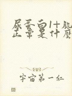 尿蛋白1+肌酐正常是什么原因?