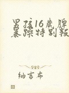 男孩16岁脾气暴躁特别叛逆