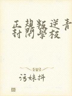 正规叛逆青少年封闭学校