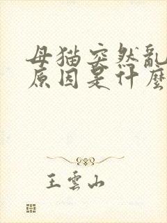 母猫突然乱尿的原因是什么