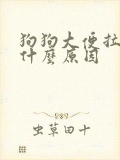 狗狗大便拉血是什么原因