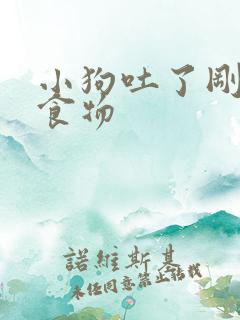 小狗吐了刚吃的食物