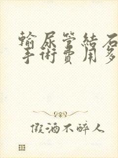 输尿管结石软镜手术费用多少钱