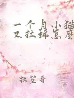 一个月小猫又吐又拉稀怎么办