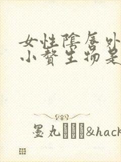 女性阴唇外面起小赘生物是怎么回事