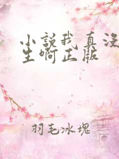 小说我真没想重生啊正版