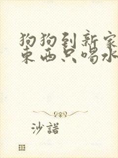 狗狗到新家不吃东西只喝水还呕吐