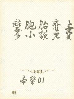 双胞胎齐上阵许多小说免费阅读